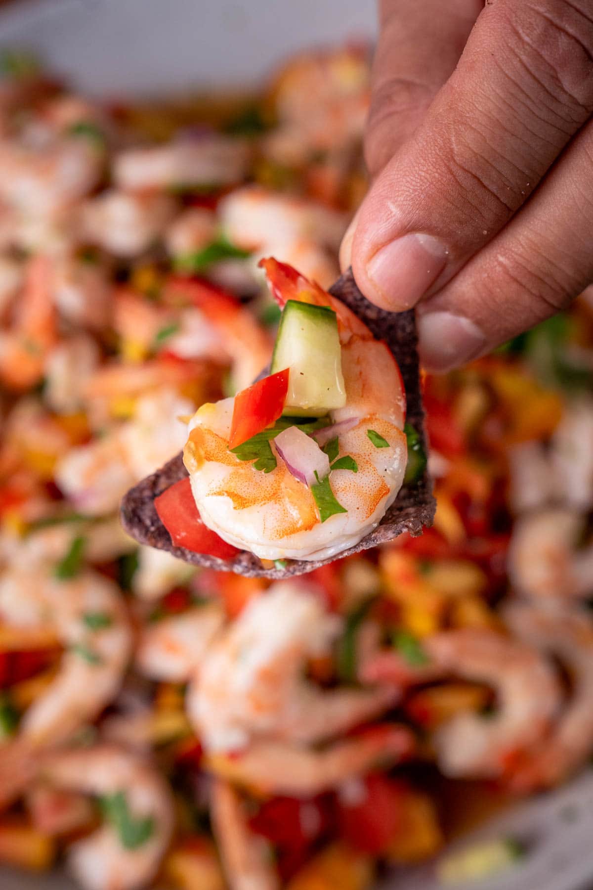 a chip with some shrimp ceviche on it being held up.